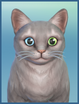 ansehen Mischling Kevin Kaetzchen